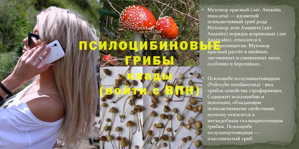 гидропоника Лиски