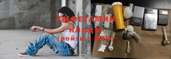 ПСИЛОЦИБИНОВЫЕ ГРИБЫ Липки