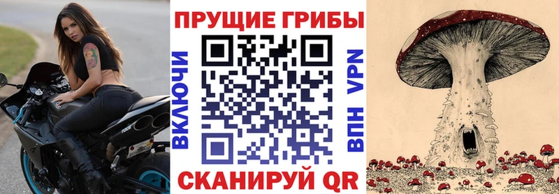 Купить закладки  Приволжск  Галлюциногенные грибы GOLDEN TEACHER 