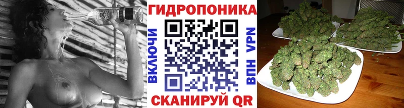 Бошки Шишки MAZAR  Купить где  Приволжск 